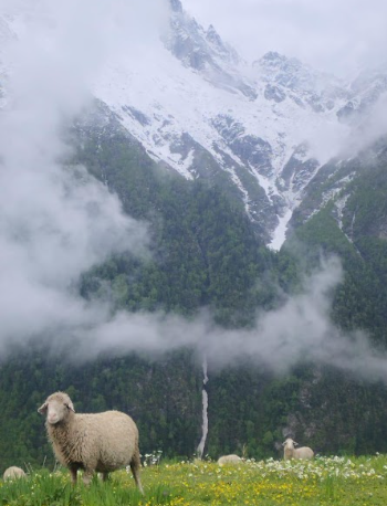Buran Ghati Trek