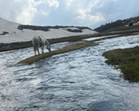 Things to Do in Rupin Pass