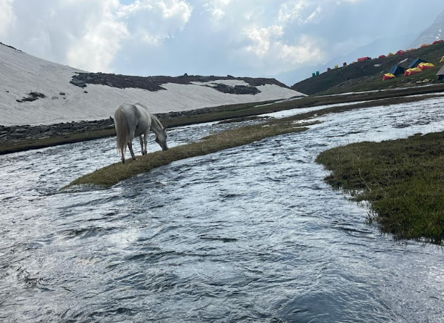 Things to Do in Rupin Pass